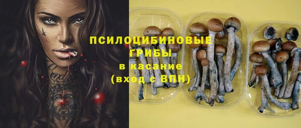 гашик Приозерск