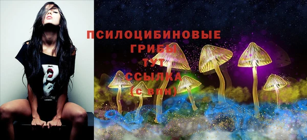 гашик Приозерск