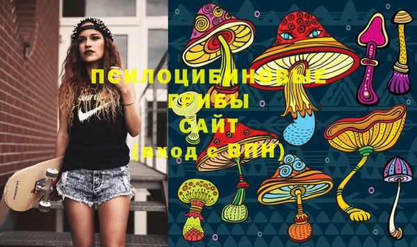 гашик Приозерск