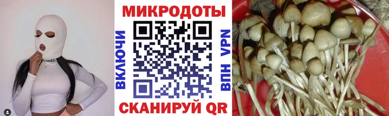 купить закладку  Камышин  Псилоцибиновые грибы Cubensis 