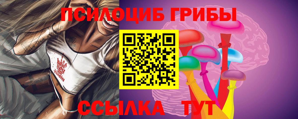 Псилоцибиновые грибы Magic Shrooms  Вход с VPN  Камышин 
