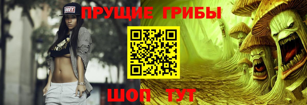 Псилоцибиновые грибы Psilocybe  Галлюциногенные грибы мицелий  Камышин 