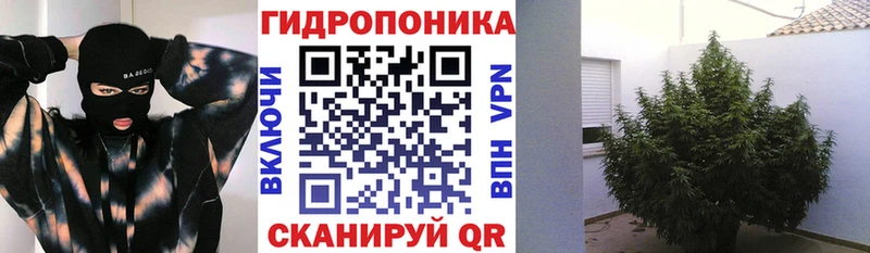 Шишки марихуана семена  мега tor  Камышин 